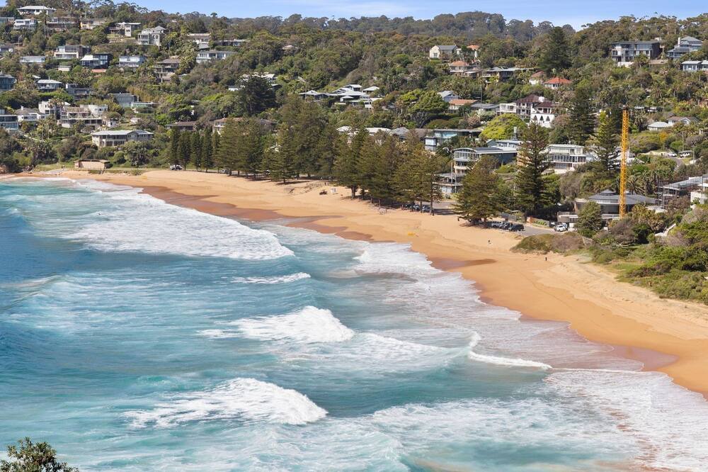 Photo of Others in Whale Beach