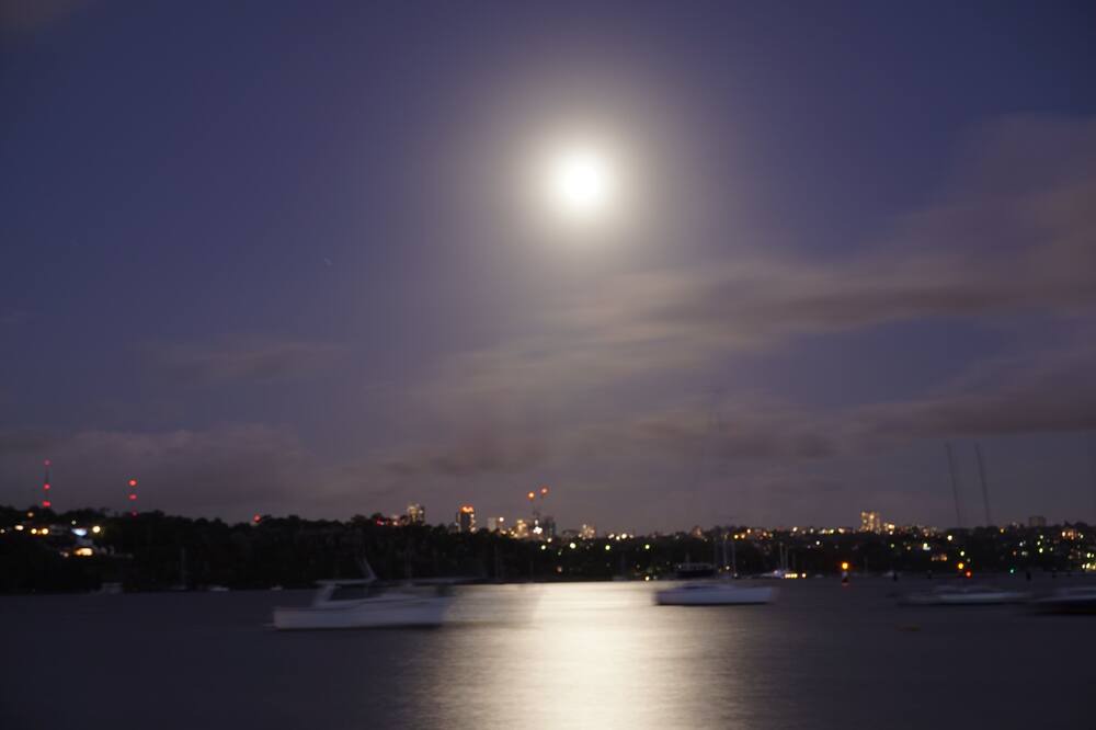 Photo of Others in Drummoyne