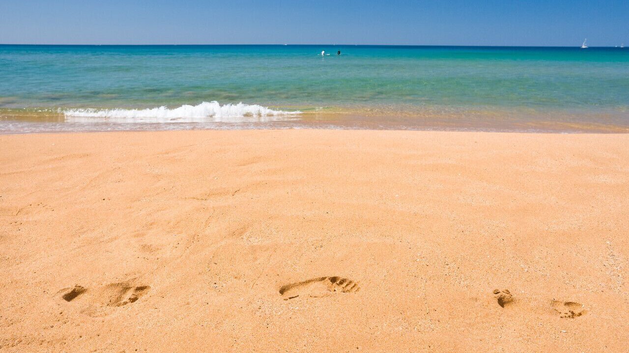 Photo of Others in Whale Beach