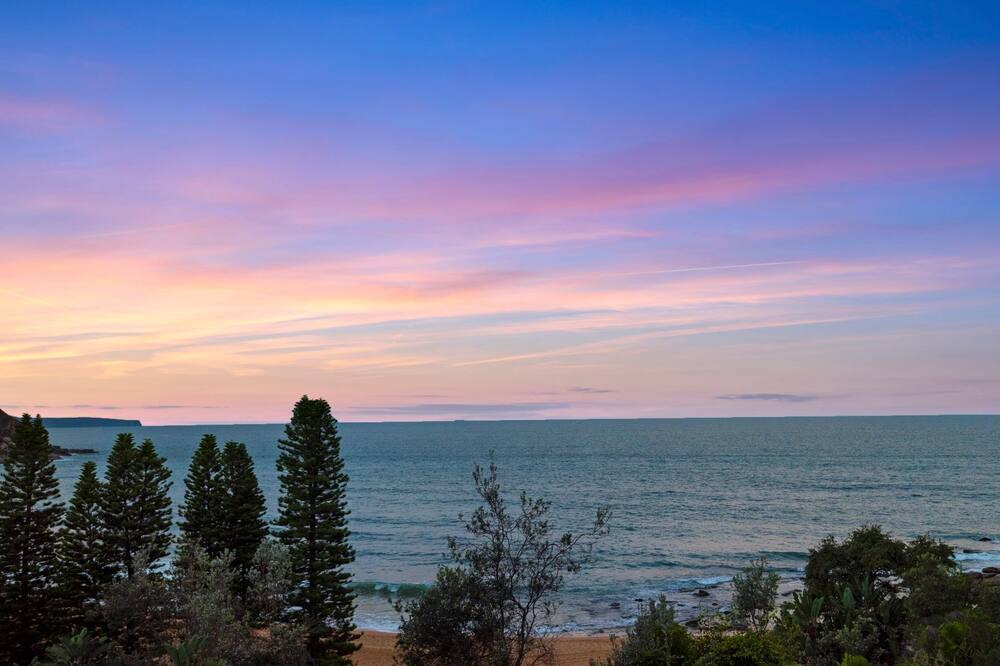 Photo of Others in Whale Beach