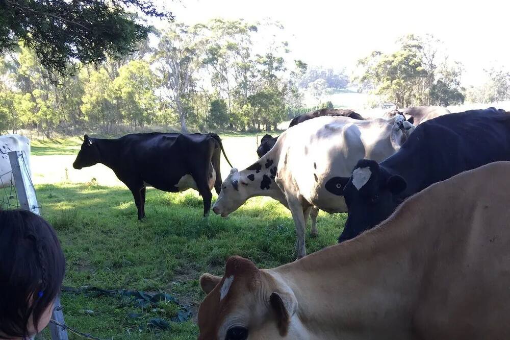 Photo of Outdoor in Burrawang