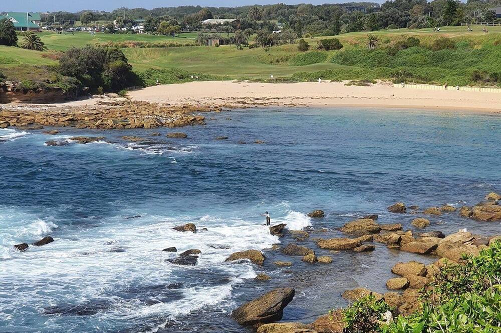 Photo of Others in Chifley