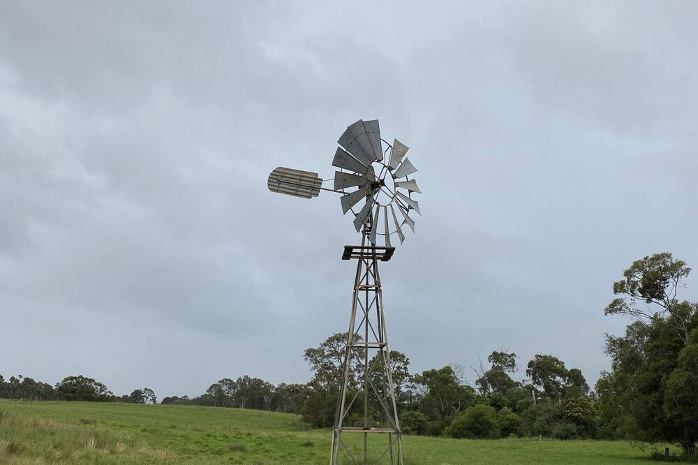 Photo of Others in The Oaks