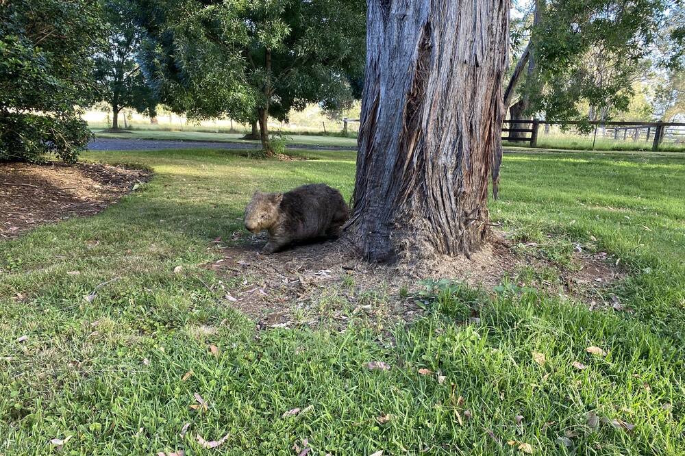 Photo of Outdoor in The Oaks