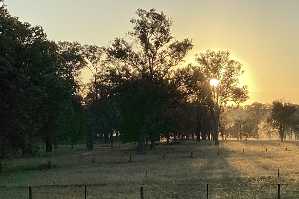 Photo of Outdoor in The Oaks
