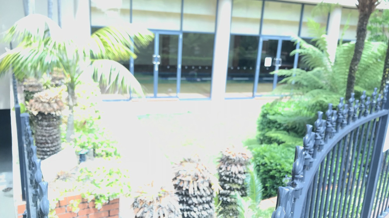 Photo of Outdoor in Balmain