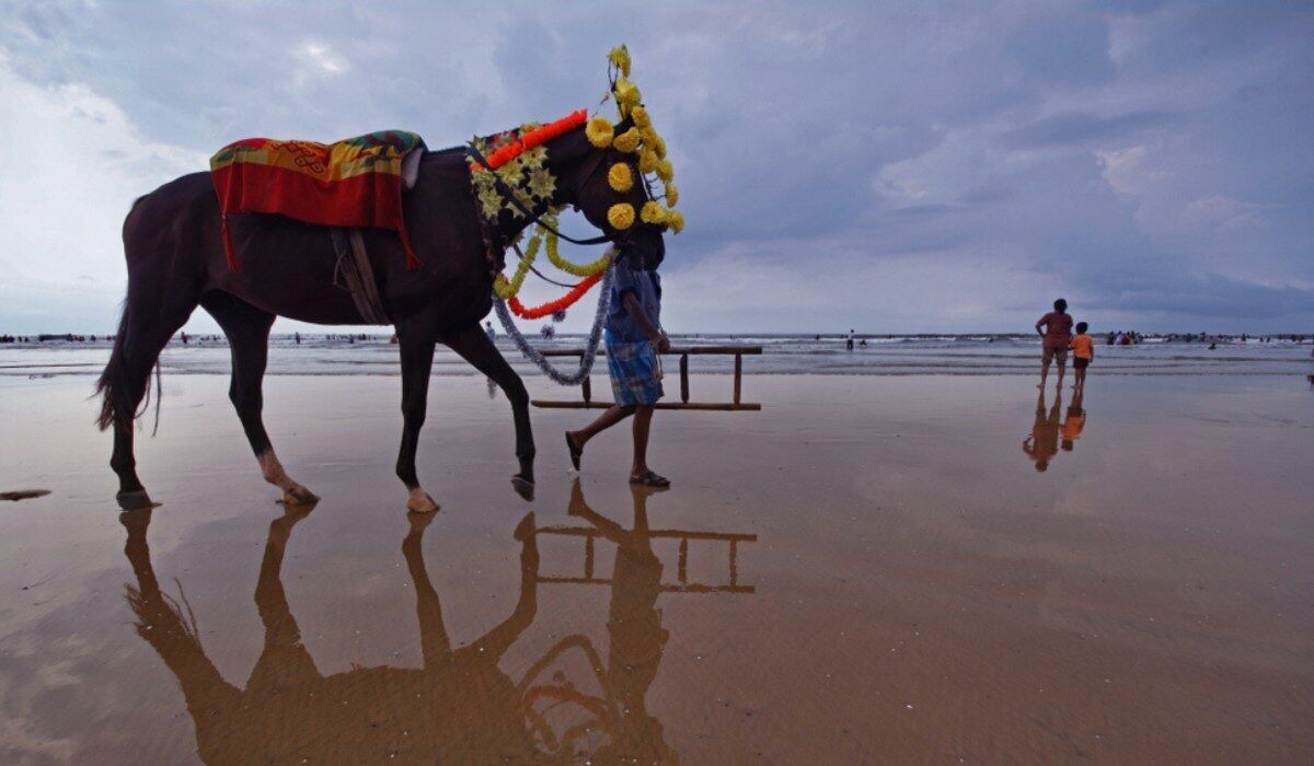 Photo of Others in Digha