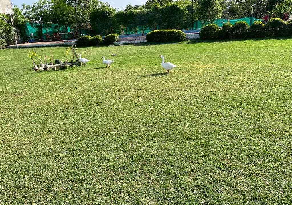 Photo of Outdoor in Village Hokra
