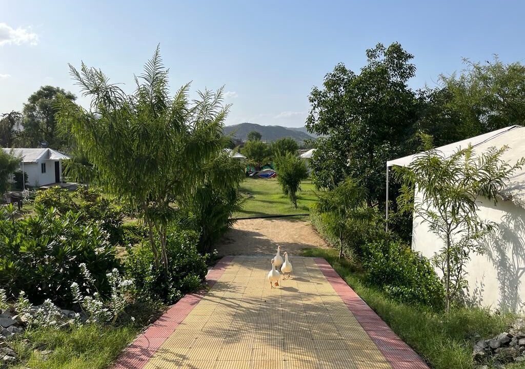 Photo of Outdoor in Village Hokra