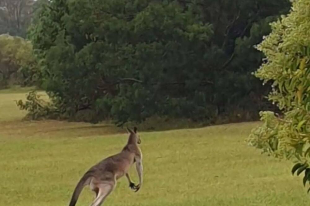 Photo of Others in Lakesland