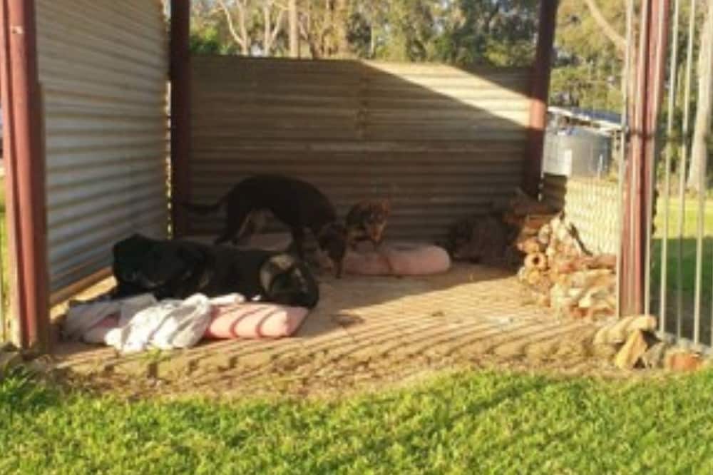 Photo of Outdoor in Lakesland