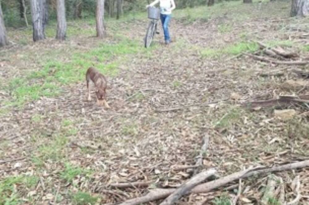 Photo of Others in Lakesland