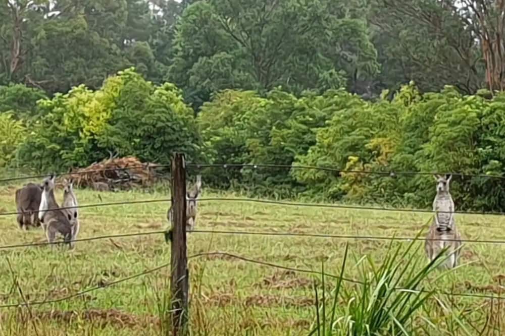 Photo of Outdoor in Lakesland