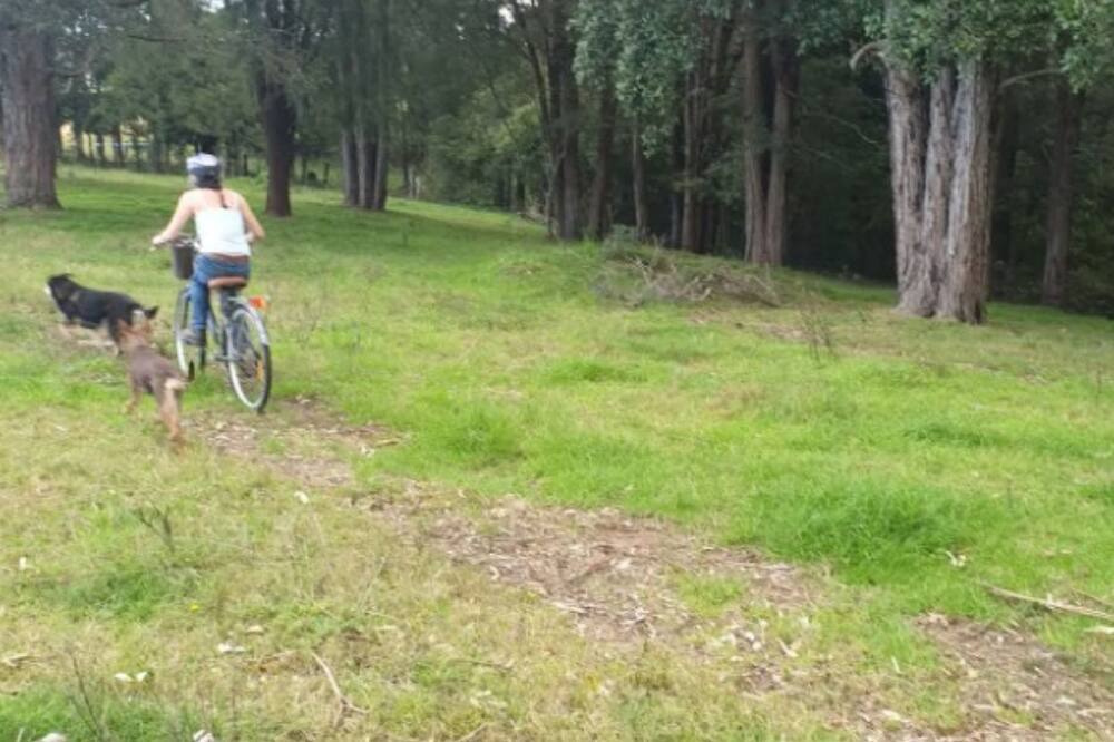Photo of Others in Lakesland
