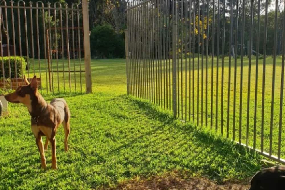 Photo of Outdoor in Lakesland