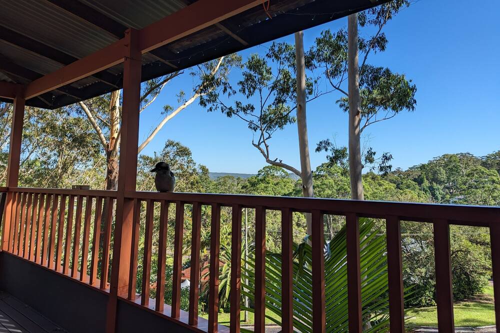 Photo of Outdoor in North Gosford
