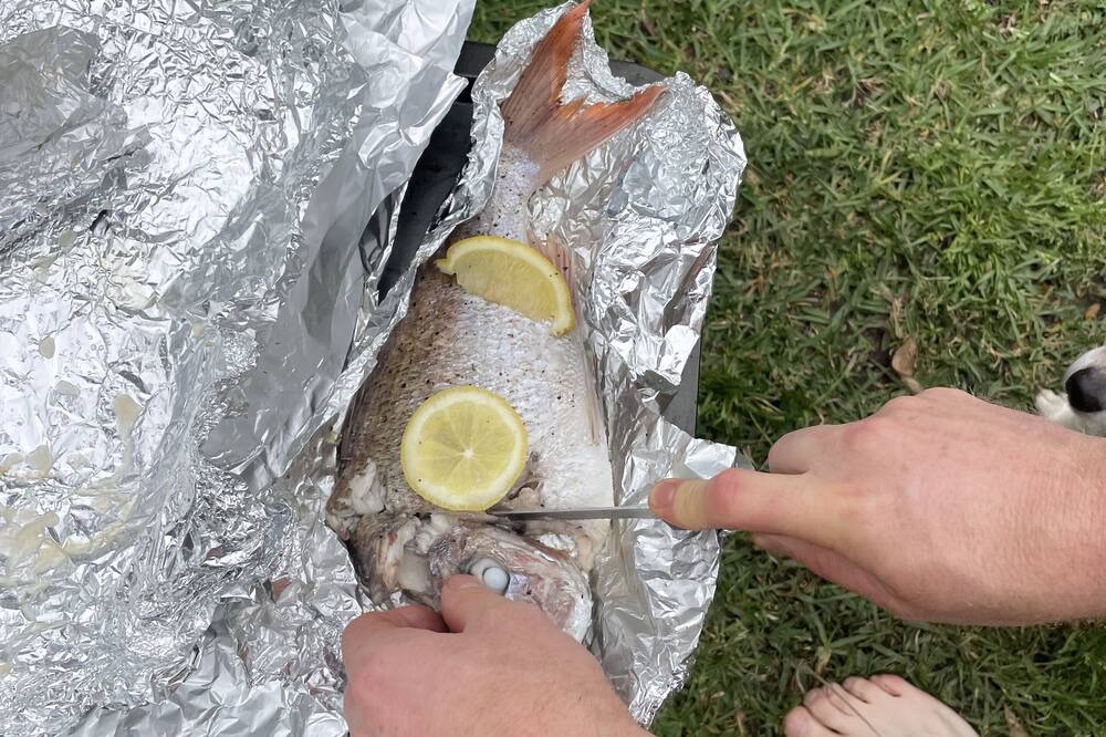 Photo of Outdoor in Lake Macquarie City Council