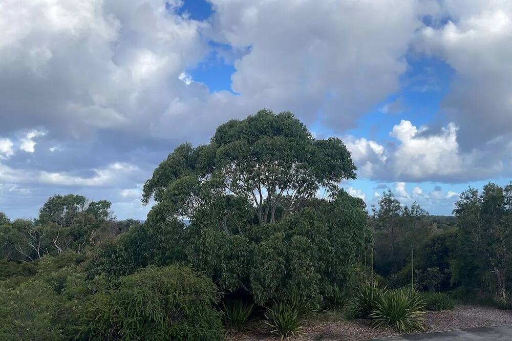 Photo of Outdoor in Little Bay