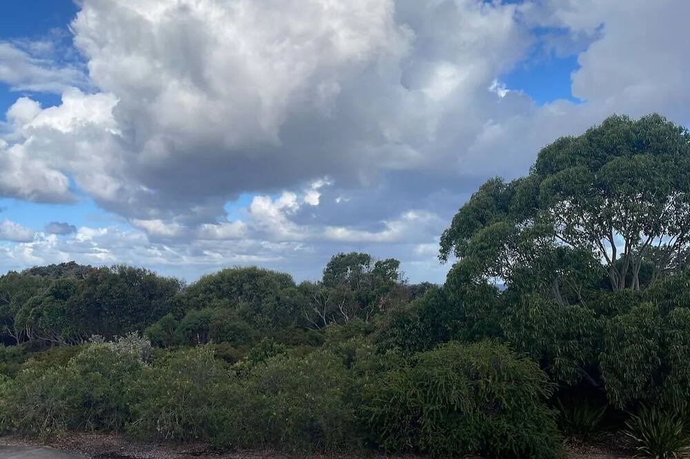 Photo of Outdoor in Little Bay