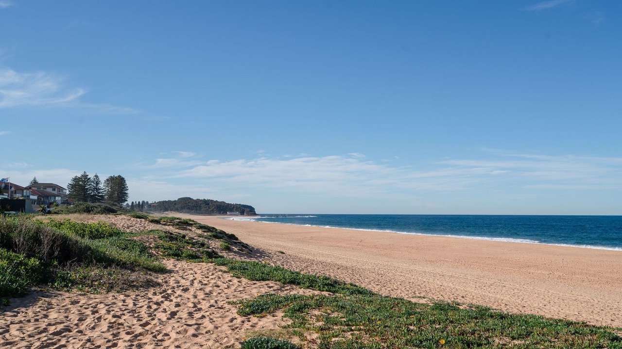 Photo of Others in Narrabeen
