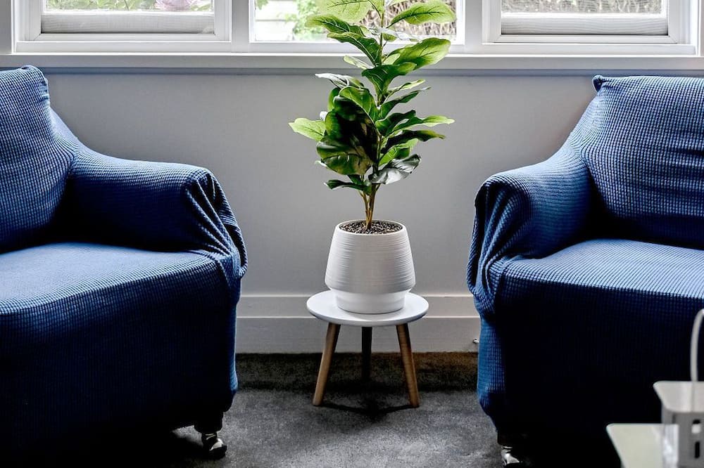 Photo of Livingroom in Bowral