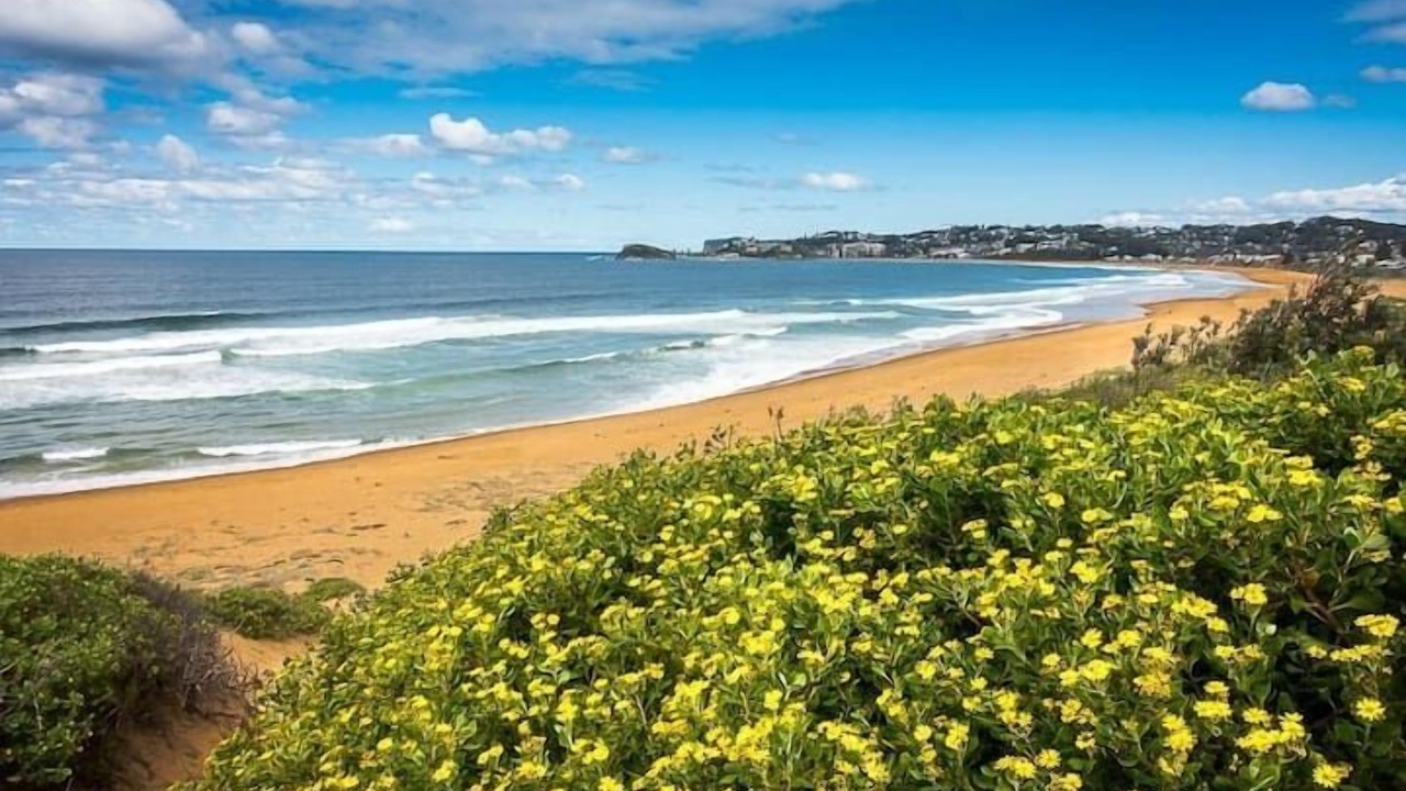 Photo of Others in Wamberal