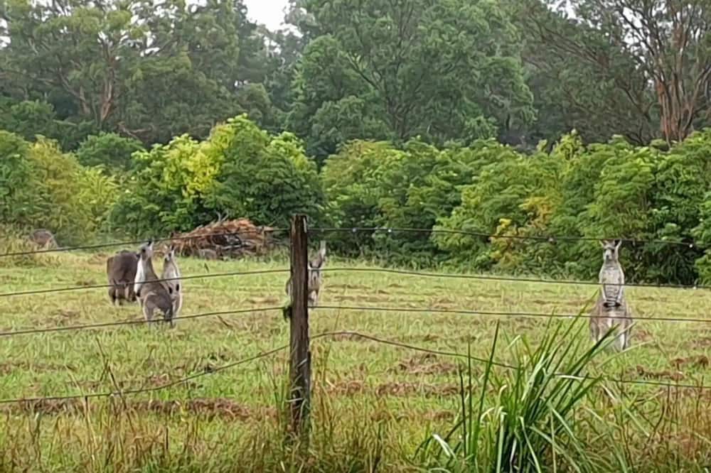 Photo of Others in Lakesland