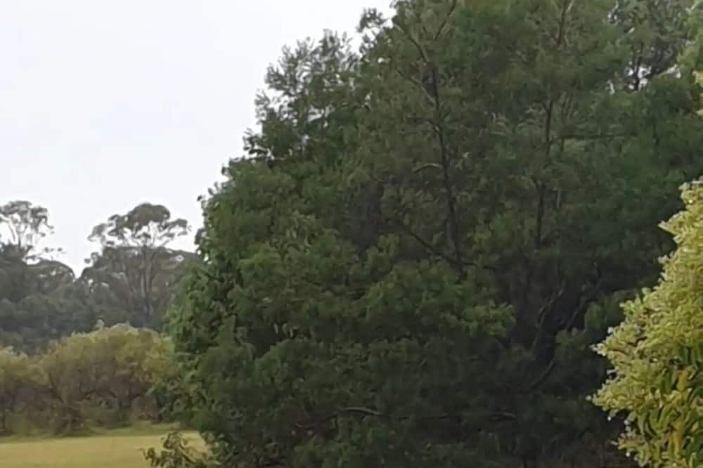 Photo of Others in Lakesland