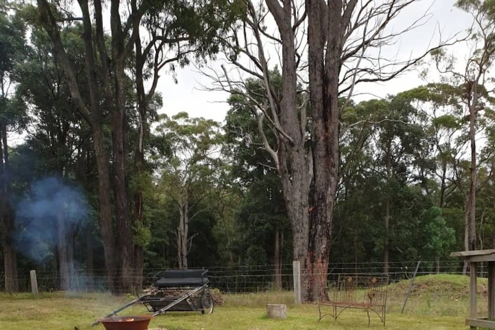 Photo of Outdoor in Lakesland