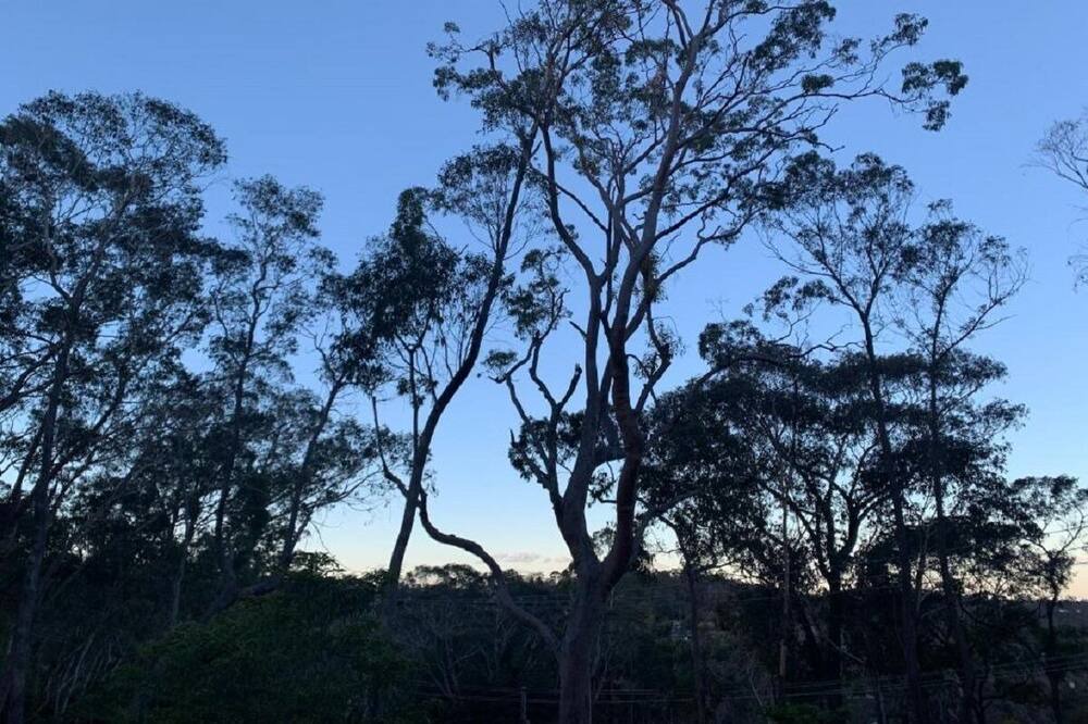 Photo of Others in Hazelbrook