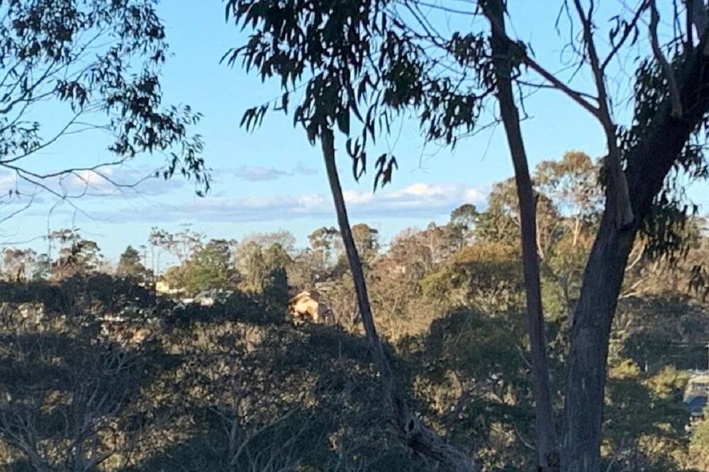 Photo of Outdoor in Hazelbrook
