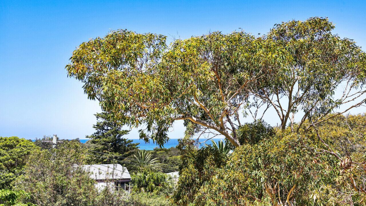 Photo of Outdoor in Avalon Beach