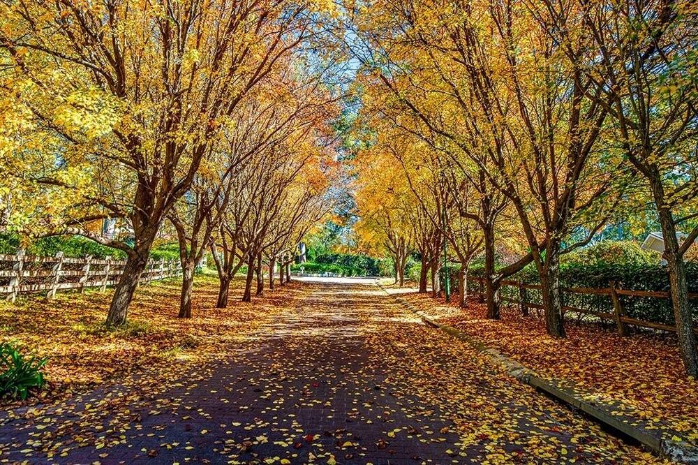 Photo of Others in Bowral