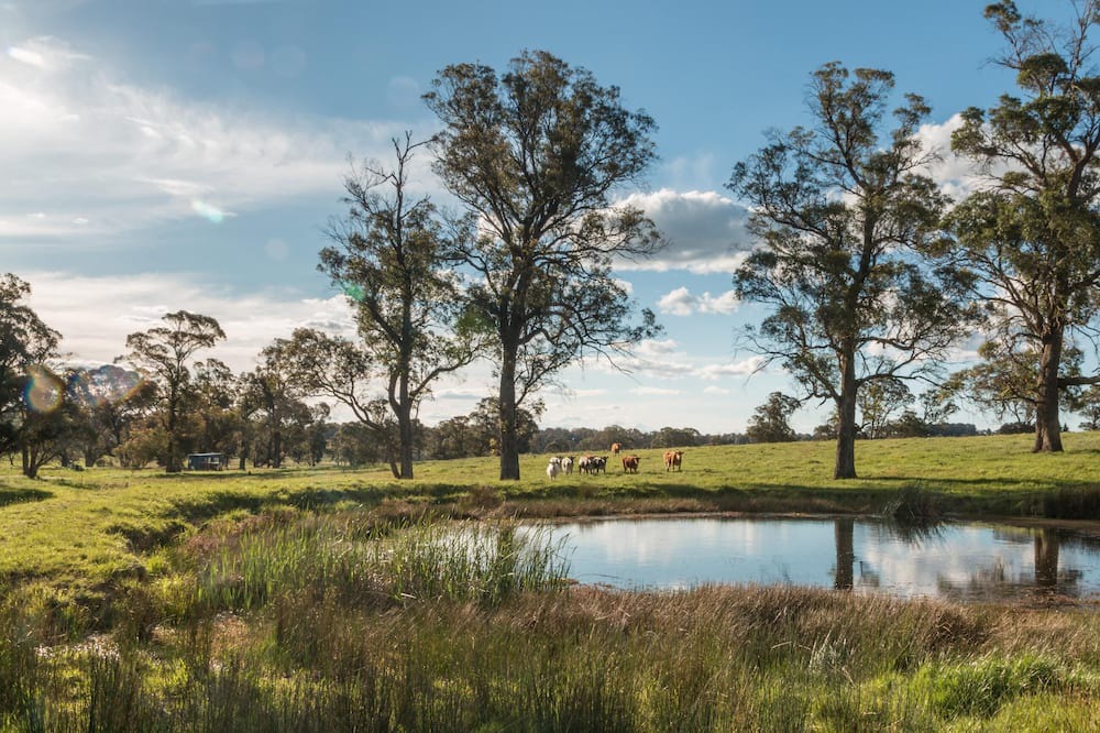 Photo of Others in Moss Vale