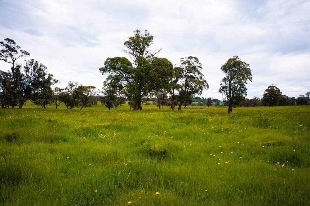 Photo of Outdoor in Moss Vale
