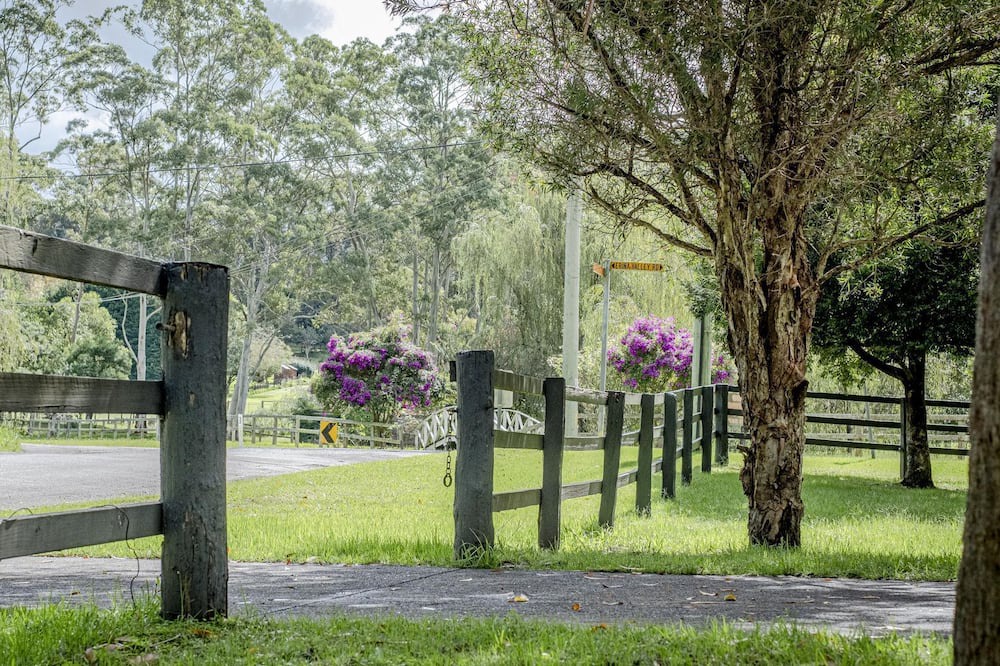 Photo of Outdoor in Erina