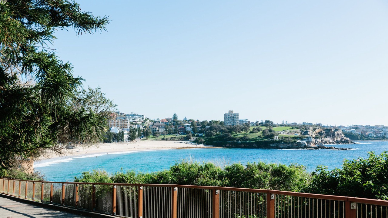 Photo of Others in Coogee
