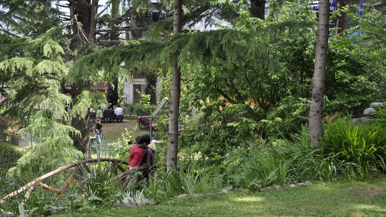 Photo of Outdoor in Manali