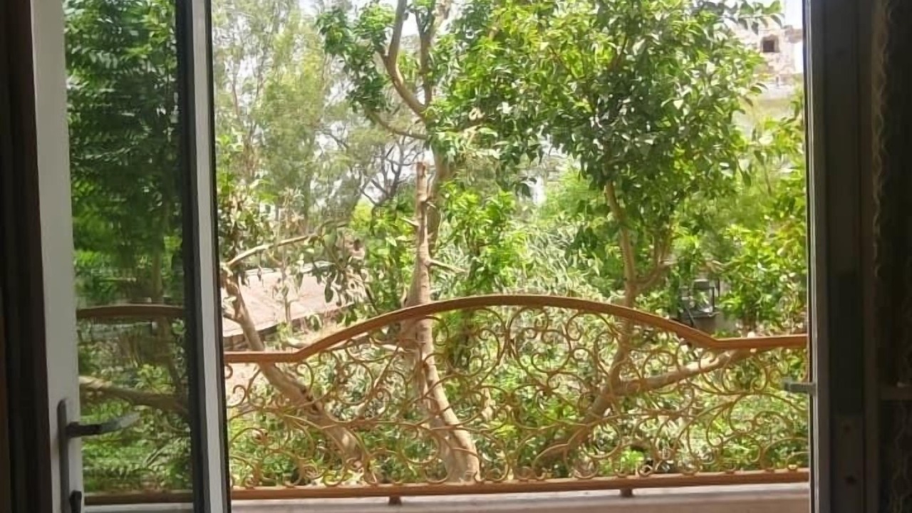 Photo of Patio Balcony in Taj Ganj