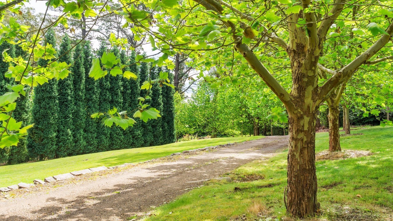 Photo of Outdoor in Bowral