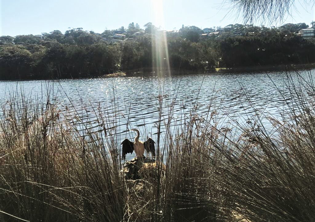 Photo of Outdoor in Macmasters Beach