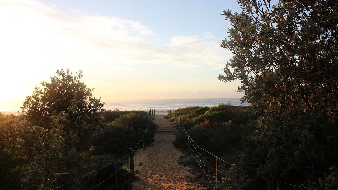 Photo of Outdoor in Macmasters Beach
