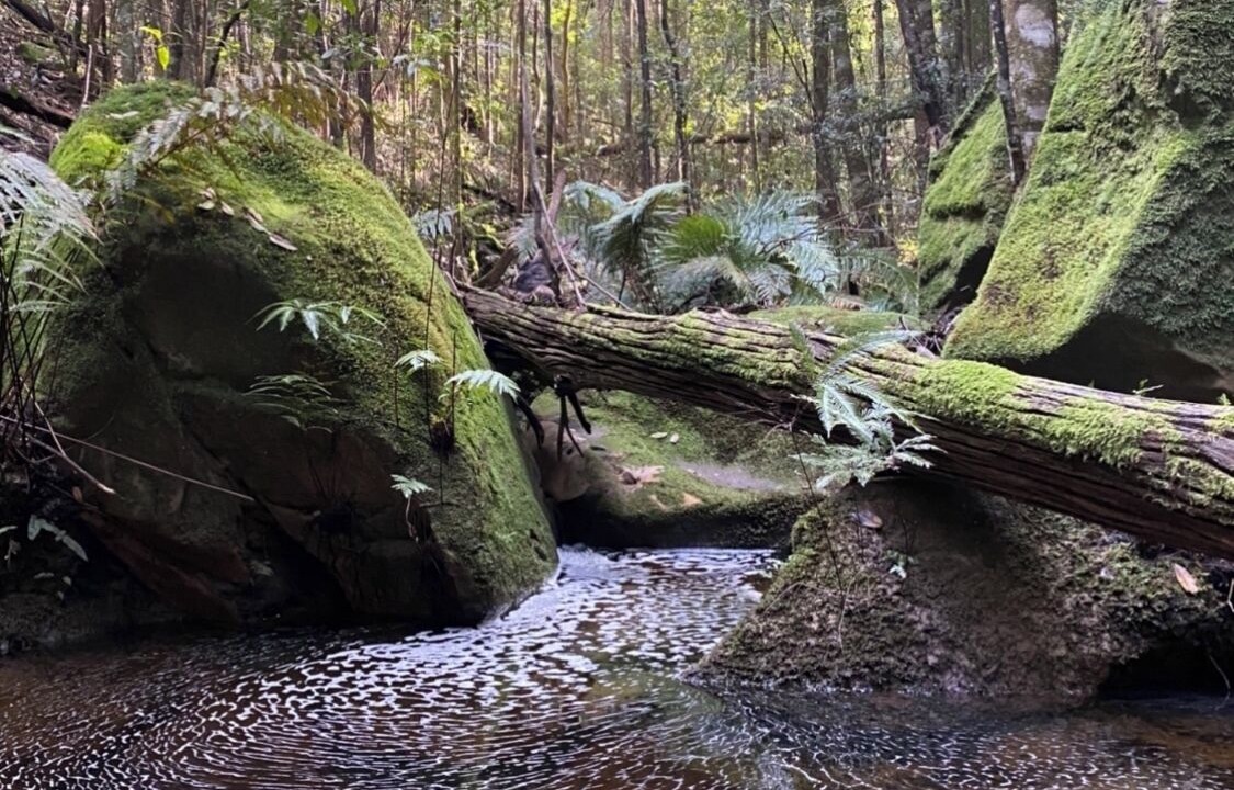 Photo of Outdoor in Wentworth Falls