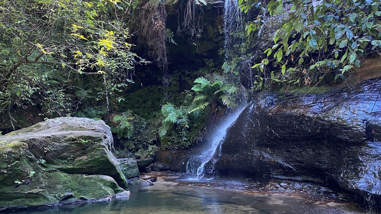 Photo of Outdoor in Wentworth Falls