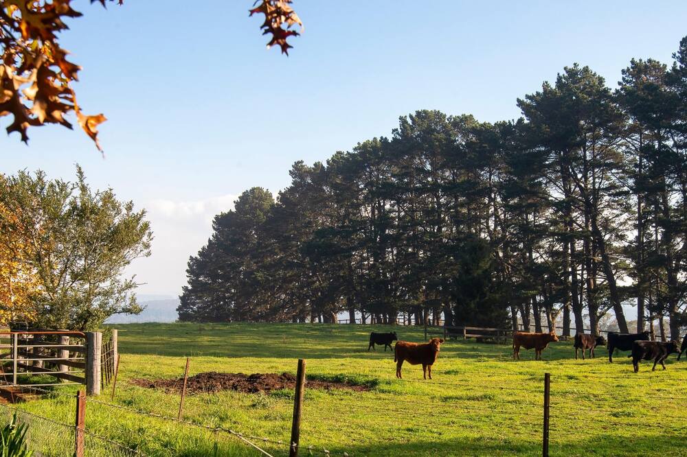 Photo of Others in Wildes Meadow