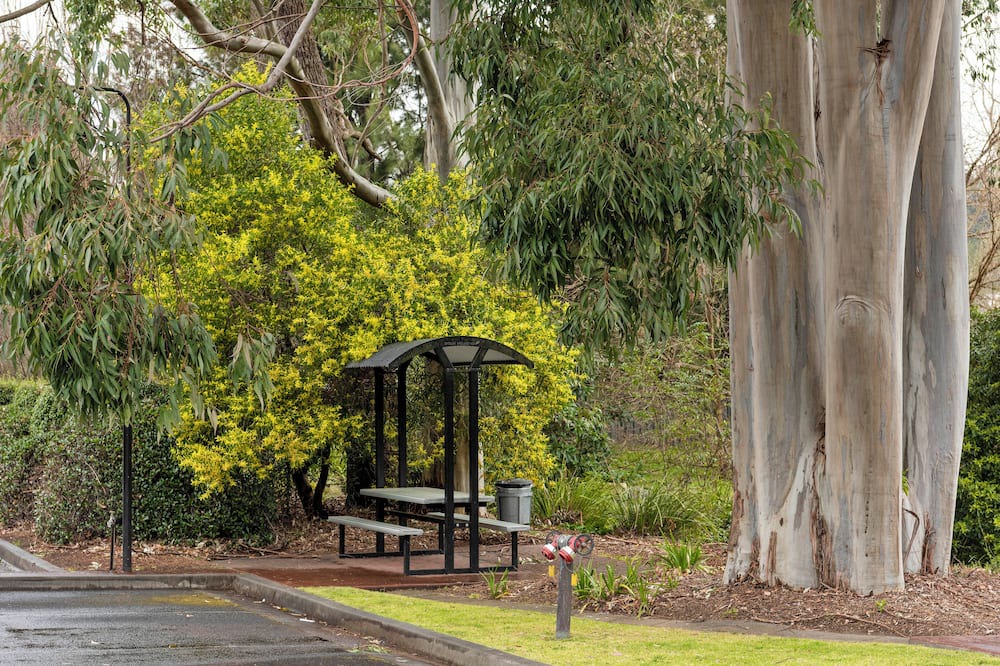 Photo of Outdoor in Mittagong