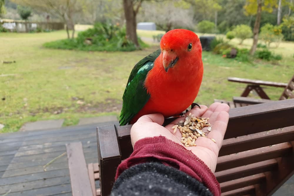 Photo of Outdoor in Kangaroo Valley