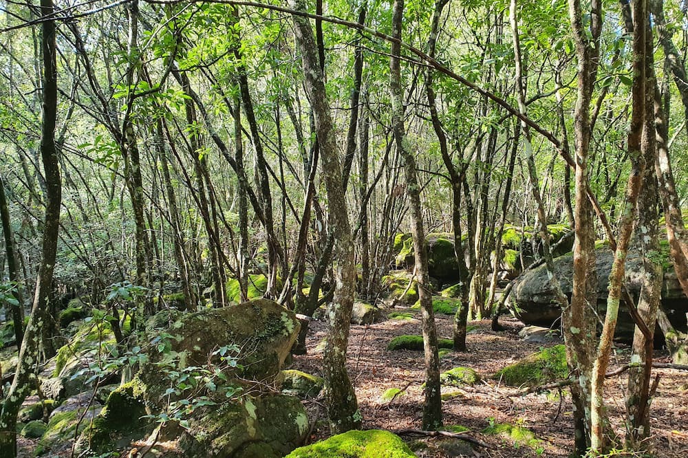 Photo of Outdoor in Kangaroo Valley