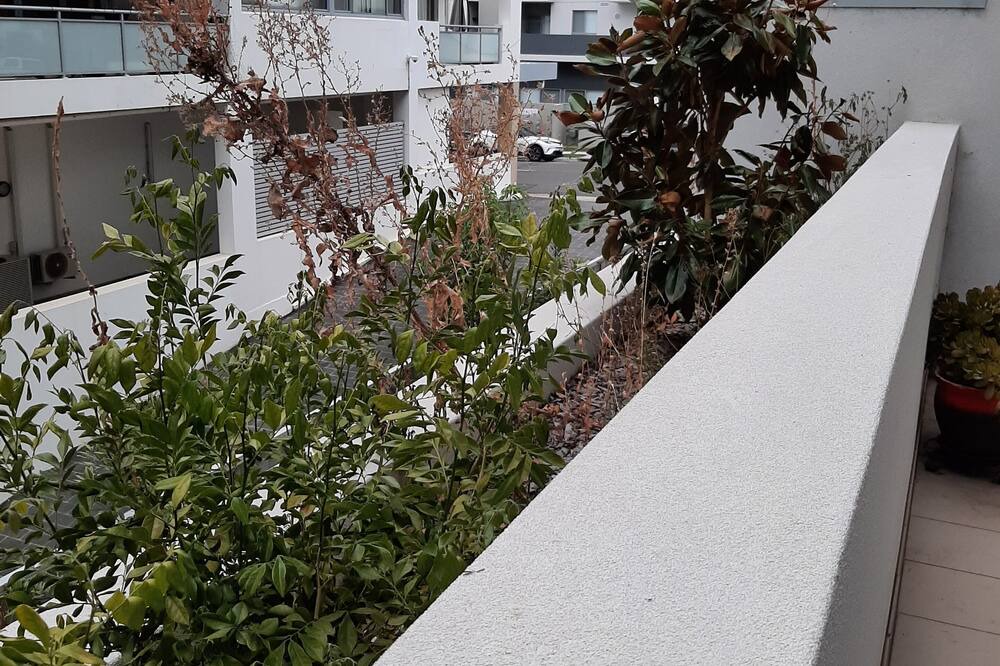 Photo of Patio Balcony in Campbelltown