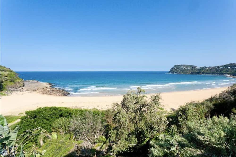Photo of Others in Whale Beach